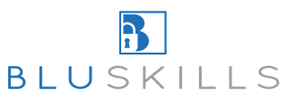 BluSkills Security logo